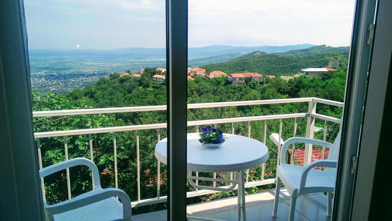 Guest House Alazani Valley Signagi Exterior foto