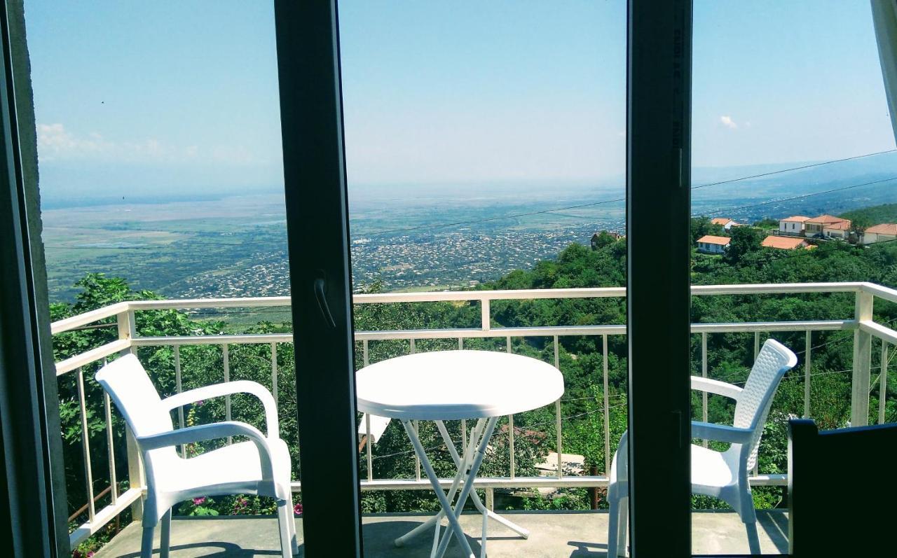Guest House Alazani Valley Signagi Exterior foto