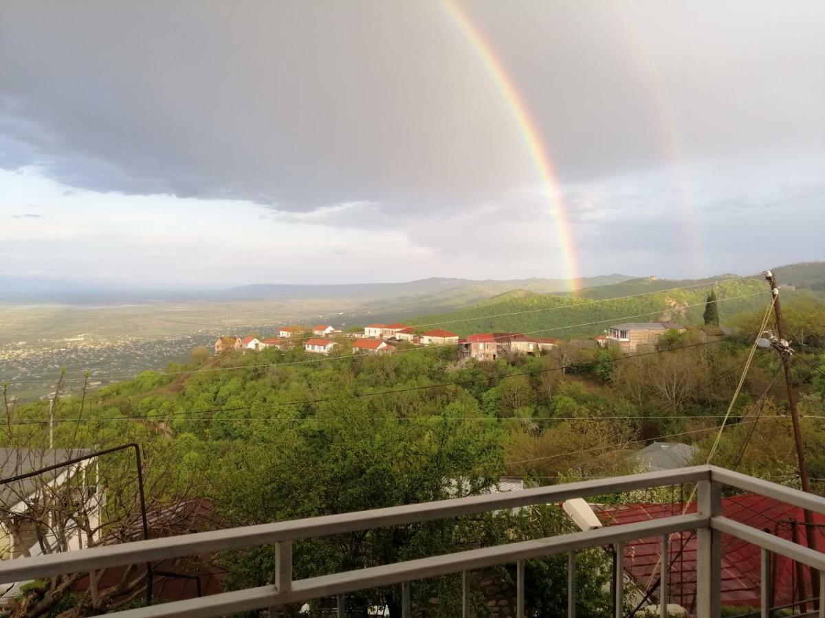 Guest House Alazani Valley Signagi Exterior foto