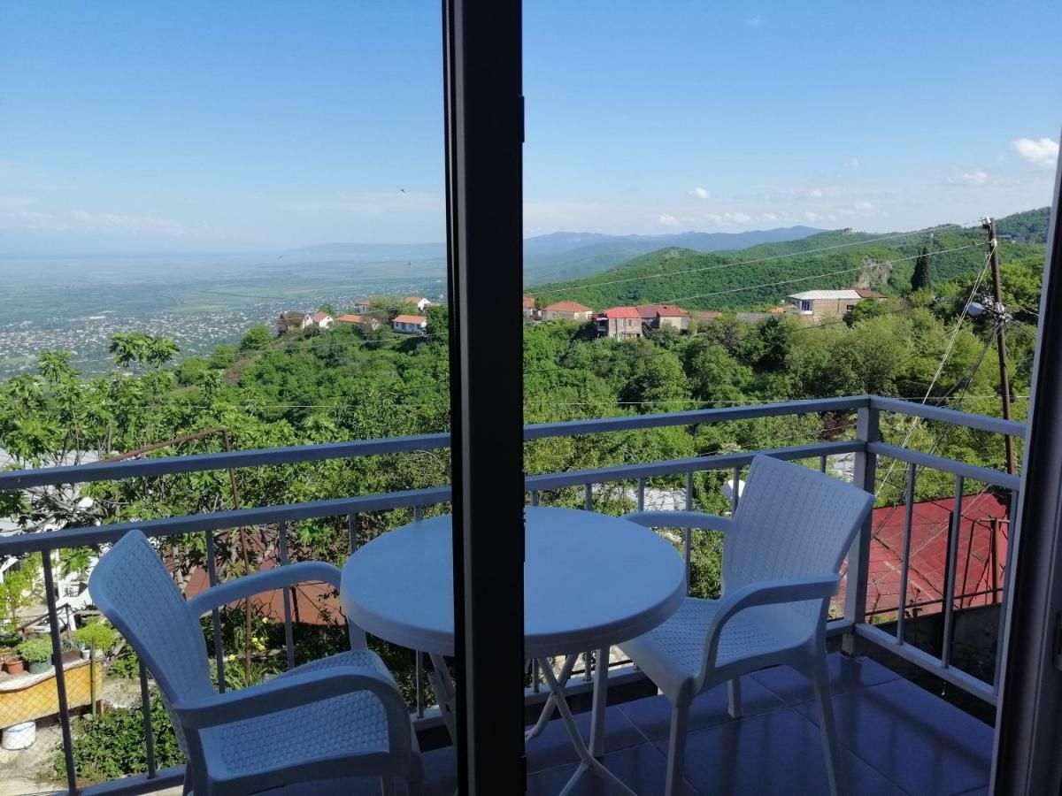 Guest House Alazani Valley Signagi Exterior foto